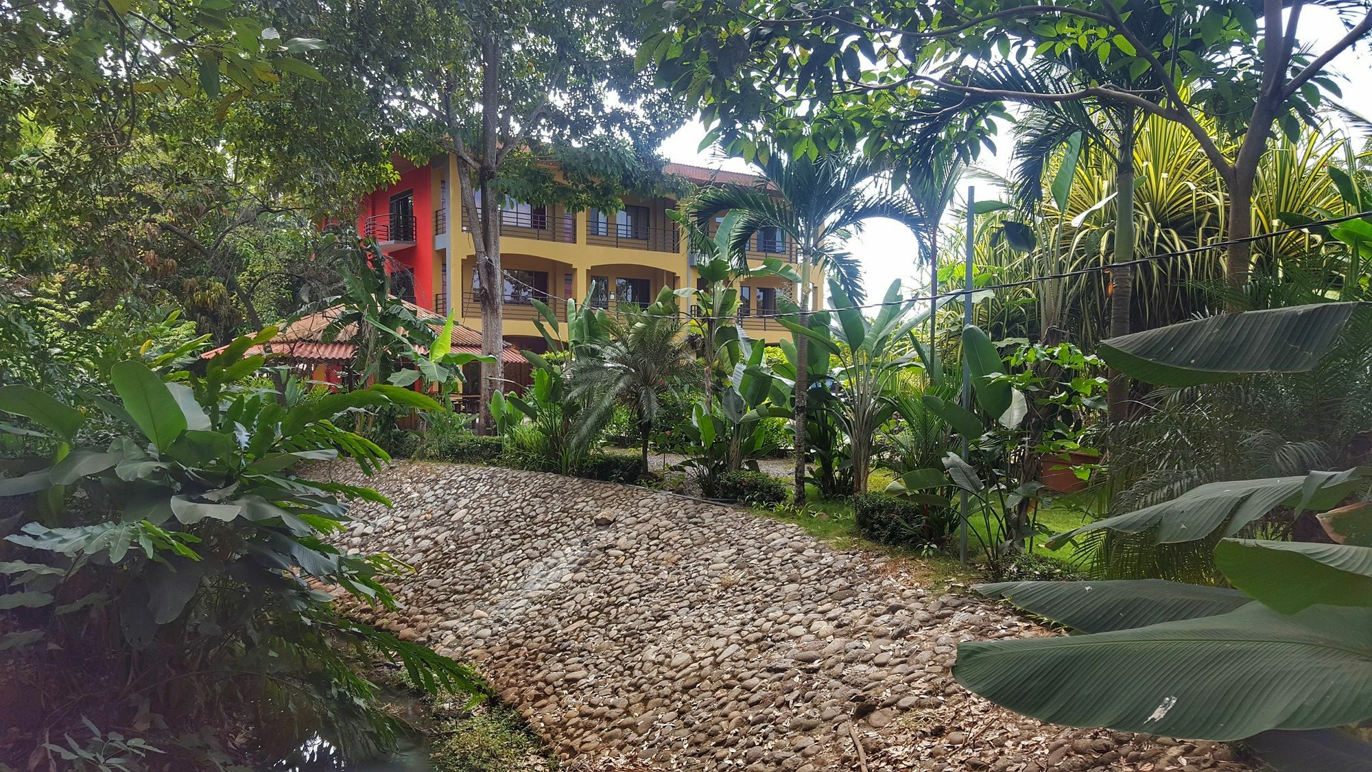 Pacifico Loft Jacó
